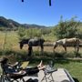 Photo of Bauers Canyon Ranch Rv Park