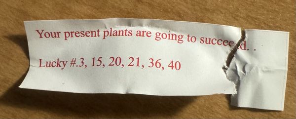 Royal Palace Chinese Restaurant by null