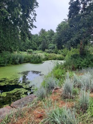 Anita B. Gorman Conservation Discovery Center by null