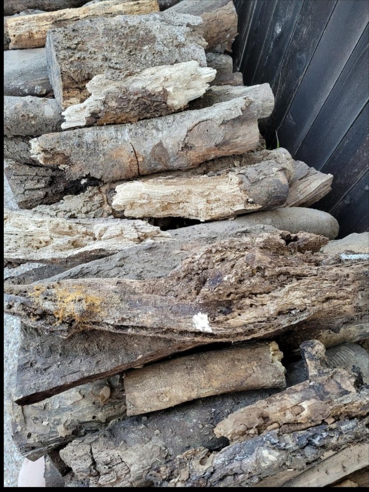 BIG JOHN’S WOOD PRODUCTS Updated September 2024 10 Photos & 21