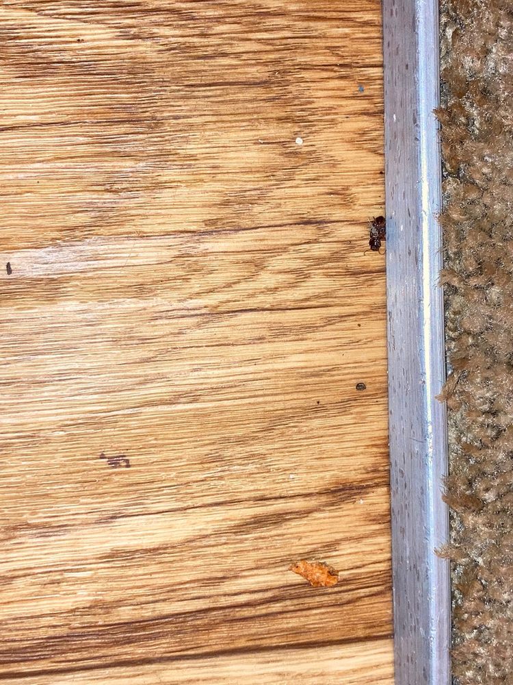 CIMARRON PLACE APARTMENTS Updated September 2024 33 Photos 3121 N Swan Rd, Tucson, Arizona