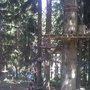 Photo of Alpsee Bergwelt