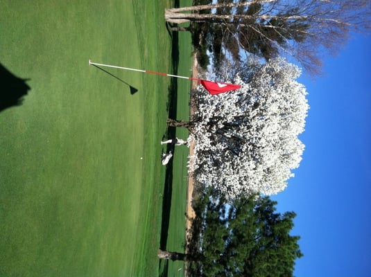 MILT S GOLF CENTER Updated October 2025 11 Photos 24 Reviews