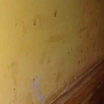 Bangkok Spice - Is it just me? Does this lol clean to you? Not to mention all the dust! This wall adjoins my table - Thai Near Me - Shrub Oak, New York Bangkok Spice - Is it just me? Does this lol clean to you? Not to mention all the dust! This wall adjoins my table - Thai Near Me - Shrub Oak, New York