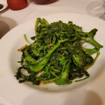 IL Toscano Ristorante - Italian Near Me - Pembroke Pines, Florida IL Toscano Ristorante - Italian Near Me - Pembroke Pines, Florida
