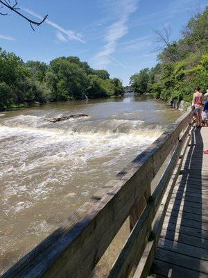Estabrook Beer Garden by null