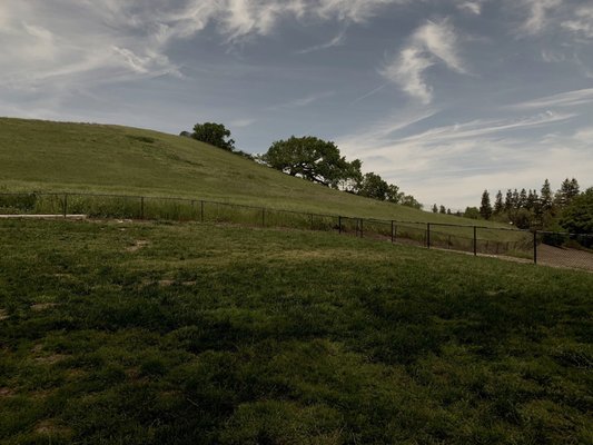 Dougherty Hills Dog Park
