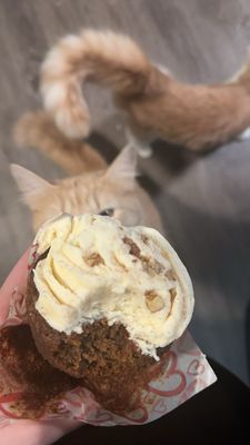 Starburst Parlor Keto Bakery & Coffee Parlor by null