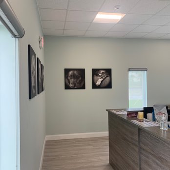 Central Animal Hospital - Front desk - Veterinarians Near Me - Boca Raton, Florida Central Animal Hospital - Front desk - Veterinarians Near Me - Boca Raton, Florida