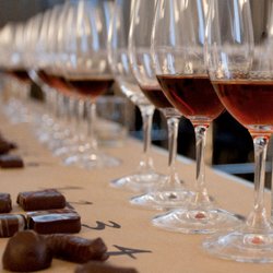 Don Carlos - We offer wine and chocolate tastings