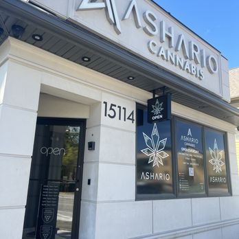Ashario - Best Cannabis Dispensary in North York and Aurora, Toronto - Cannabis Dispensaries Near Me - Aurora, Ontario Ashario - Best Cannabis Dispensary in North York and Aurora, Toronto - Cannabis Dispensaries Near Me - Aurora, Ontario
