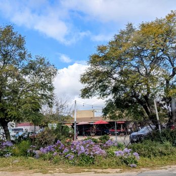 Farm Stand West, Fresh Produce, Pumpkin Patch, Christmas Trees - Fruits & Veggies Near Me - Escondido, California