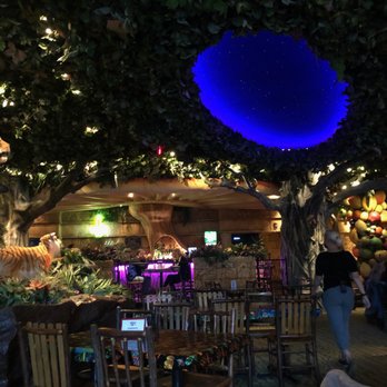 Rainforest Cafe - Automated skyscape at the Cafe. - Cafes Near Me - Niagara Falls, New York