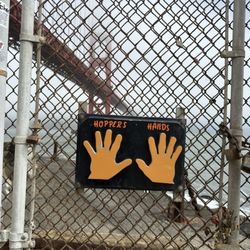 Hopper's Hands