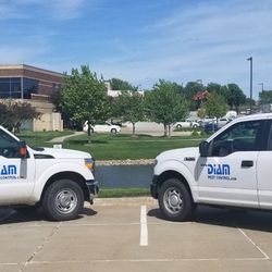 Diam Pest Control