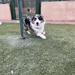 Pepper having the time of her life!