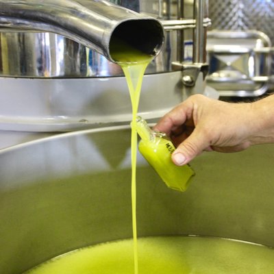 The Olive Press by null