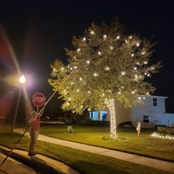 Palala Christmas Lighting