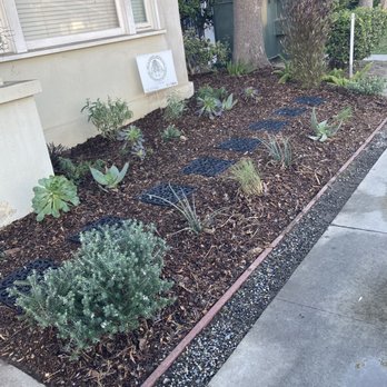 MC Landscaping - Front yard 1 - Landscaping Near Me - Lakewood, California