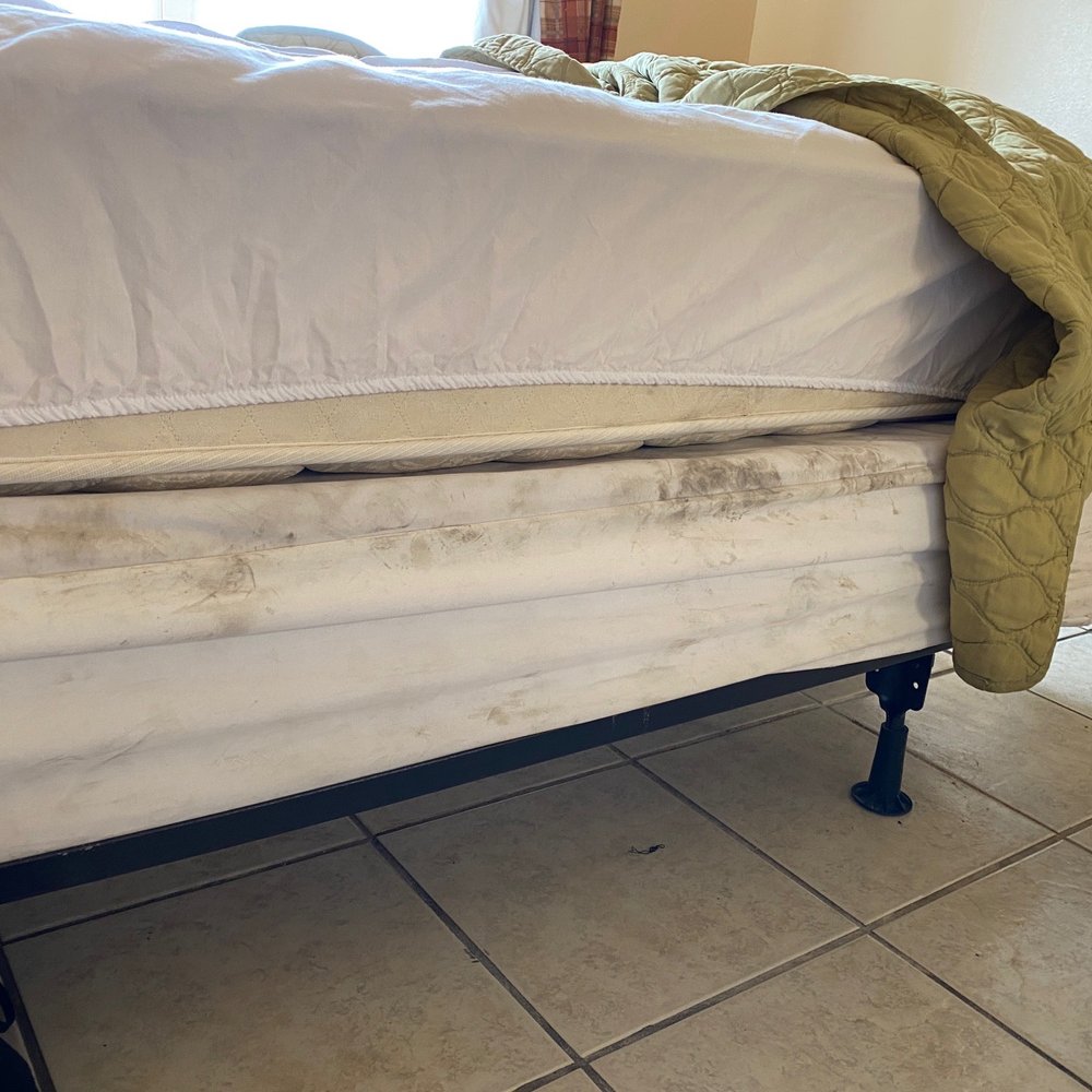 Bottom sheet.  Possibly purchased from a farm?