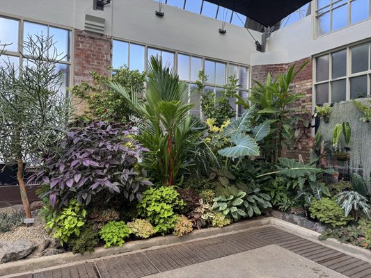 Auckland Domain by null