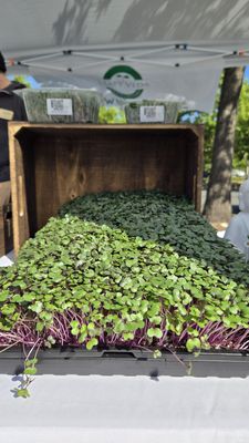 Meadowview Certified Farmers’ Market by null