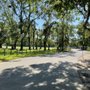 Photo of Theodore Park