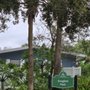 Photo of Songbird Park