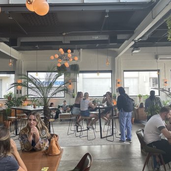 Parlor Public House - Coffee & Tea Near Me - Indianapolis, Indiana Parlor Public House - Coffee & Tea Near Me - Indianapolis, Indiana