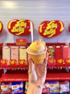 Lappert's Ice Cream by null