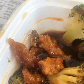 Golden Z - Cockroach in General Tso's Chicken - Chinese Near Me - Brooklyn, New York