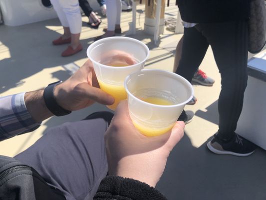 Sightsailing by null