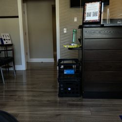 Velocity Performance + Sports Rehab