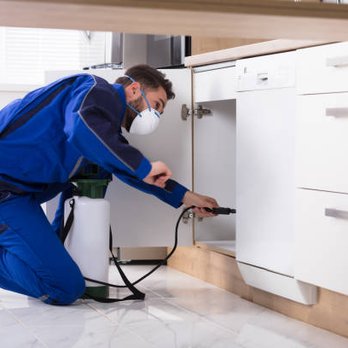 Pestico Pest Control - our interior pest control service - Pest Control Near Me - Van Alstyne, Texas Pestico Pest Control - our interior pest control service - Pest Control Near Me - Van Alstyne, Texas