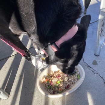 Braxton's Kitchen - Dog entree! - Breakfast & Brunch Near Me - Camarillo, California