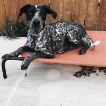Rascal Training - Go to bed practice - Pet Training Near Me Rascal Training - Go to bed practice - Pet Training Near Me