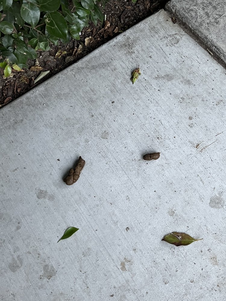 BELINDA APARTMENT HOMES Updated September 2024 155 Photos & 15