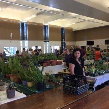Peterson Middle School - CACTUS AND SUCCULENT SHOW (10.09.16) - Middle Schools & High Schools Near Me - Sunnyvale, California
