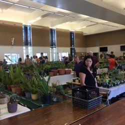 Peterson Middle School - CACTUS AND SUCCULENT SHOW (10.09.16)
