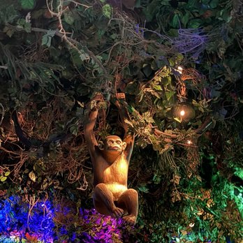 Rainforest Cafe - Monkie - American Near Me - Ontario, California Rainforest Cafe - Monkie - American Near Me - Ontario, California