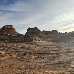 The New Wave - Wave canyons