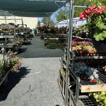 SARGENT’S ON 2ND - Updated March 2026 - 153 Photos & 11 Reviews - 1811 ...