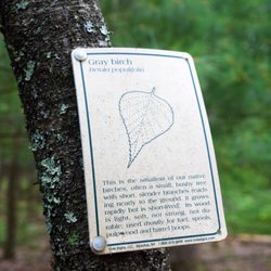 Westconnaug Meadows Hiking Trail