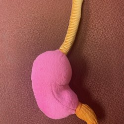 Advanced Digestive Center