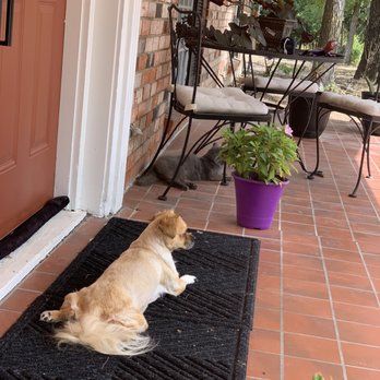Fur Pet's Sake - Spoiled baby!! - Pet Groomers Near Me - Waco, Texas Fur Pet's Sake - Spoiled baby!! - Pet Groomers Near Me - Waco, Texas