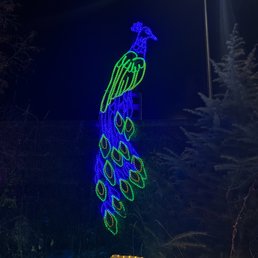 Peacock Christmas light