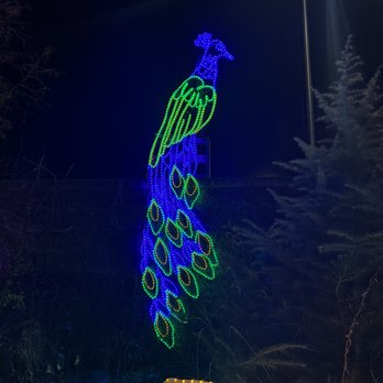 River Of Lights - Peacock Christmas light - Festivals Near Me - Albuquerque, New Mexico