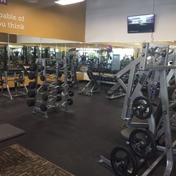 Anytime Fitness - Freee Weights