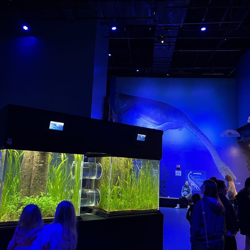 Newport Aquarium Coupons