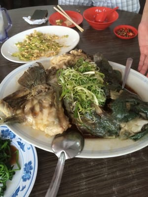 Zai Shun Curry Fish Head by null